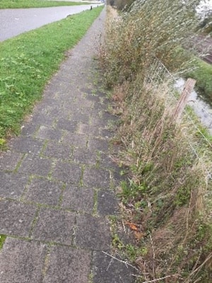 Overhangend-groen