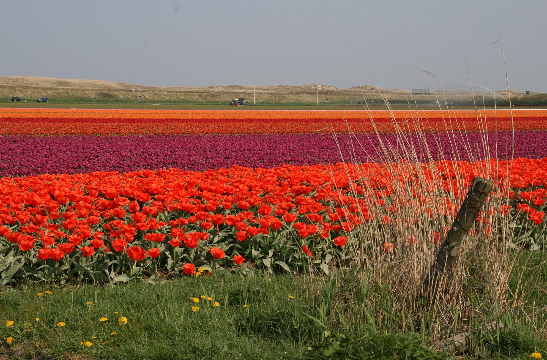 JESSLokaal vecht voor behoud open landschap
